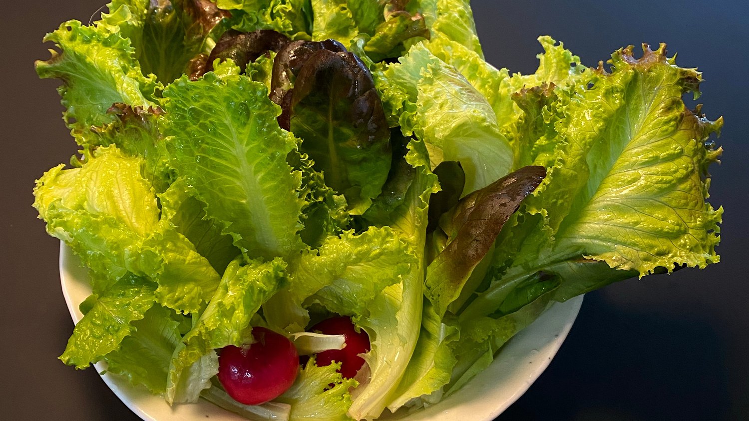 blog post cover image