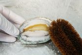 조리용 솔과 전복살과 껍질을 문질러줍니다. 너무 세게 힘을 주어 세척하면 살이 부서질 수 있으니 흐르는 물에 헹구어 가며 살짝 문질러 씻어주세요.