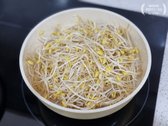 물이 끓으면 콩나물을 넣고 뚜껑을 덮어 중불에서 2분간 삶은 뒤 콩나물을 건져냅니다.