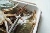 살이 없는 다리 끝부분을 잘라내고, 살이 흘러내리지 않도록 그릇에 담아 준비합니다.