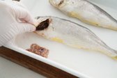 아가미 부분에 손을 넣어 배 부분의 내장을 당겨 빼 흐르는 물에 헹구어 줍니다.