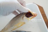 아가미 부분을 들어 안쪽의 내장을 빼주고, 검은 막부분도 제거해줍니다.​