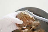 주방용 솔로 껍데기를 문질러 씻어줍니다. 껍데기에 이물질이 많다면 소금물에 10~15분 정도 담갔다 씻어주는 것도 좋습니다. 안쪽 부분까지 씻어줍니다.