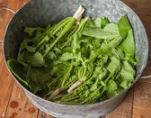 깨끗한 물에 1~2번 헹구어 체에 밭쳐 물기를 뺀다.