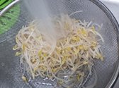데친 숙주나물을 바로 흐르는 물에 헹궈 아삭한 식감을 살립니다.