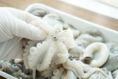 다리 부분을 뒤집어 가운데 입을 손으로 눌러 가위로 떼어내줍니다.