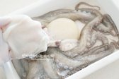 문어는 1kg 정도 크기로 1마리 준비했습니다. 몸통과 머리를 잇는 부분 틈으로 손을 넣고 뒤집어 내장을 가위로 잘라내어 줍니다.