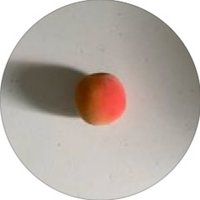 borri.rice님의 프로필 이미지