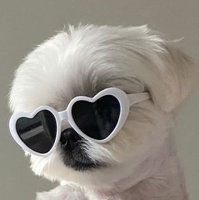 eong.table님의 프로필 이미지