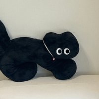 hyodcook님의 프로필 이미지