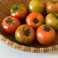 흐김쟈님의 프로필 이미지