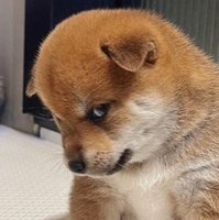 some_table님의 프로필 이미지