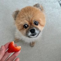 챔챔테이블님의 프로필 이미지