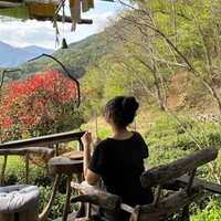 닷피님의 프로필 이미지