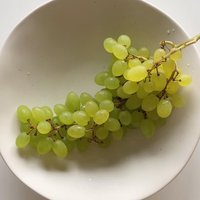 daincook님의 프로필 이미지