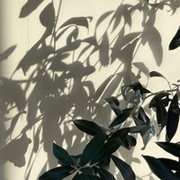 영이집밥님의 프로필 이미지