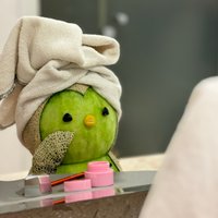 sibatable님의 프로필 이미지