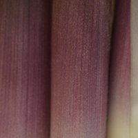 생강님의 프로필 이미지