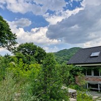 orto_madre님의 프로필 이미지