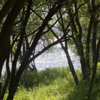 yamki님의 프로필 이미지