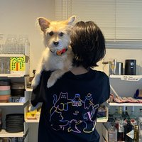 안아라님의 프로필 이미지