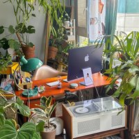 알로하융님의 프로필 이미지