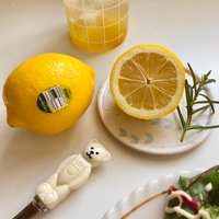 lemon_table님의 프로필 이미지