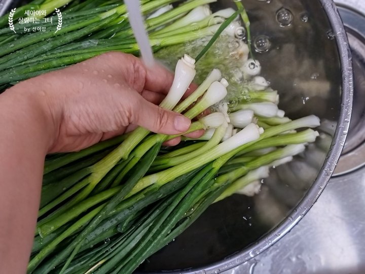 알싸한 파김치 간단 레시피 4인분 45분 완성 평점 4.9점(72) 레시피 이미지 - 2
