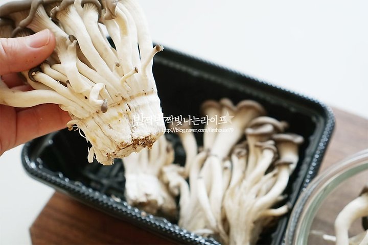 쫄깃쫄깃 구수한 느타리버섯무침 레시피 3인분 25분 완성 평점 5.0점(19) 레시피 이미지 - 2