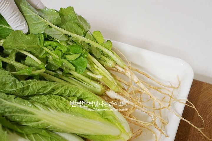 아삭하고 깔끔한 열무물김치 레시피 8인분 1시간 20분 완성 평점 4.7점(79) 레시피 이미지 - 2
