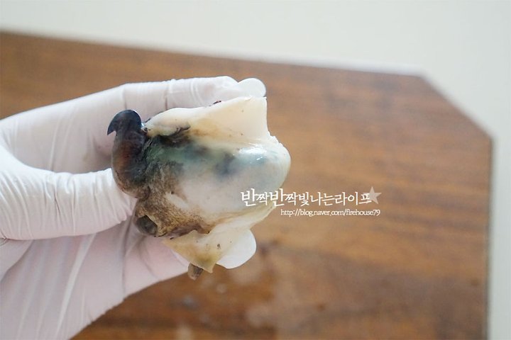 꼬들꼬들 신선한 소라숙회 레시피 2인분 25분 완성 평점 5.0점(91) 레시피 이미지 - 10
