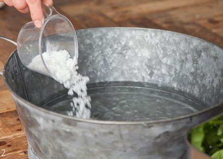 아삭하고 시원한 열무김치 레시피 8인분 2시간 40분 완성 평점 4.9점(92) 레시피 이미지 - 2