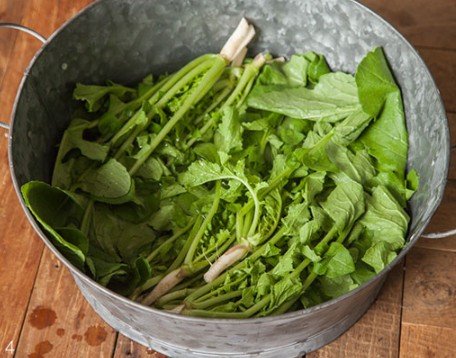 아삭하고 시원한 열무김치 레시피 8인분 2시간 40분 완성 평점 4.9점(92) 레시피 이미지 - 4