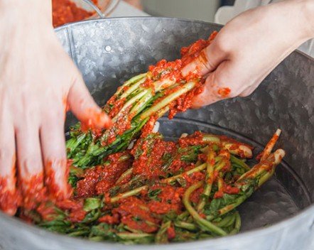 아삭하고 시원한 열무김치 레시피 8인분 2시간 40분 완성 평점 4.9점(92) 레시피 이미지 - 8