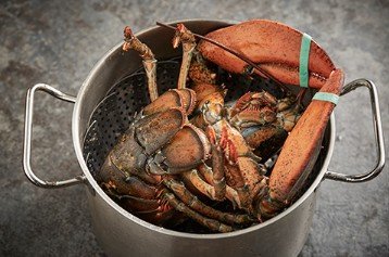 깊은 풍미로 고급스러운 랍스터 치즈 버터구이 레시피 2인분 45분 완성 평점 4.7점(53) 레시피 이미지 - 2