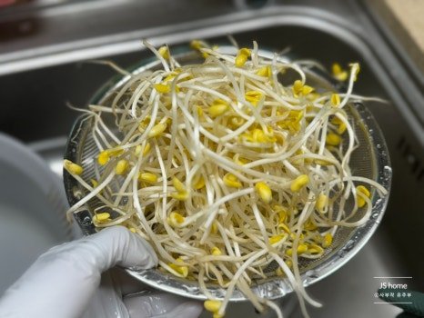 매콤한 콩나물 잡채 레시피 2인분 1시간 20분 완성 평점 4.7점(23) 레시피 이미지 - 2